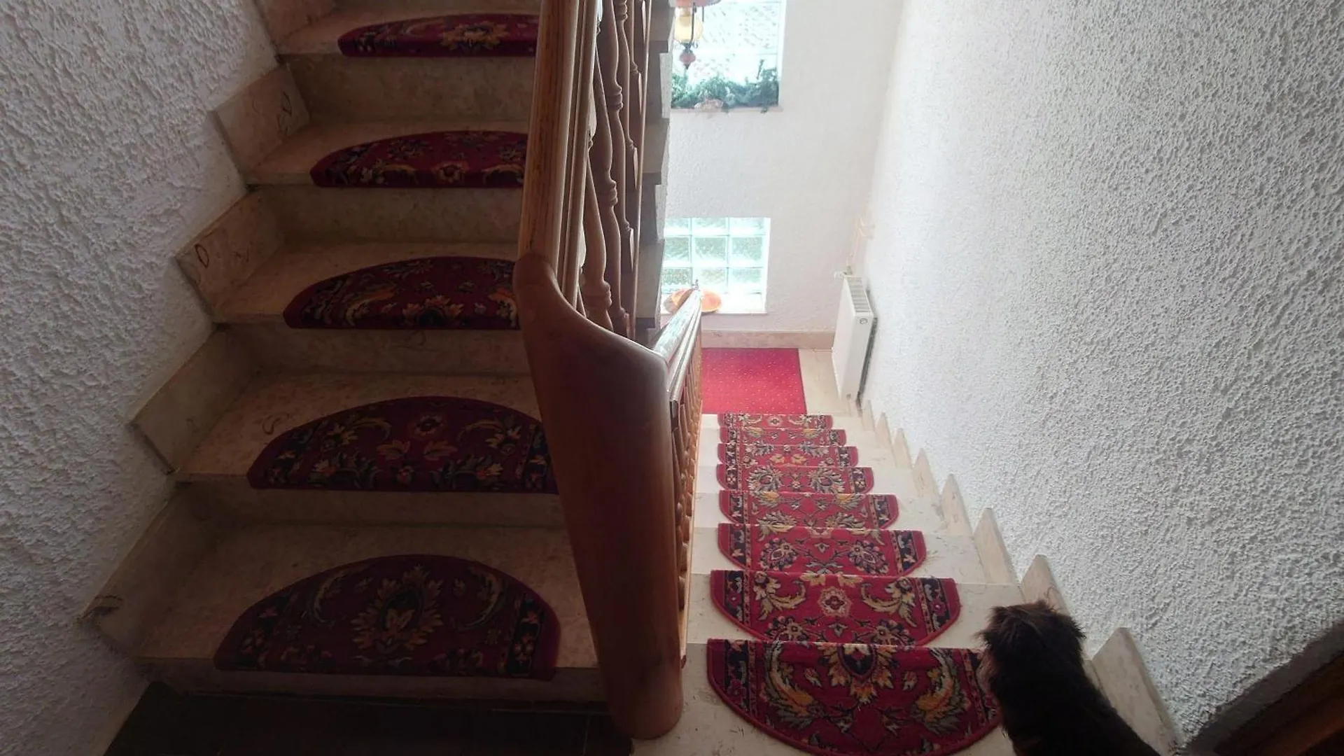 Spacious Apartment Kata, With Balconies And Large Garden Trsce
